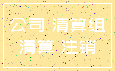 公司 清算组_清算 注销