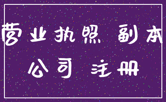 营业执照 副本_公司 注册