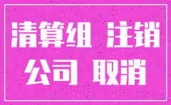 代理公司注销需要做什么