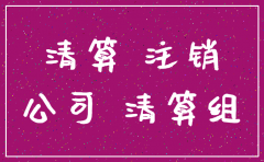 公司注销资产清单说明