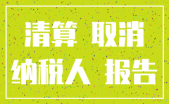 注销公司财务报表格式