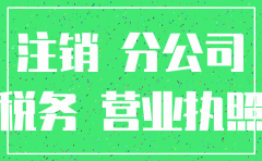 独立纳税分公司注销亏损处理