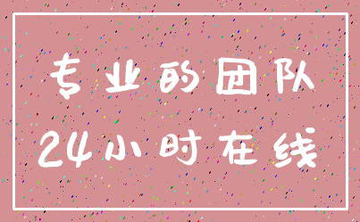 专业的团队_24小时在线