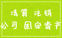 公司注销的资产处置报告