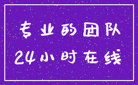 专业的团队_24小时在线