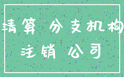 清算 分支机构_注销 公司