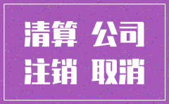 分公司工商网上注销流程图