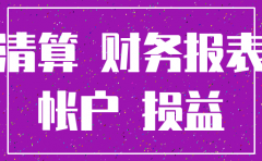 股份公司注销的财务报告范本