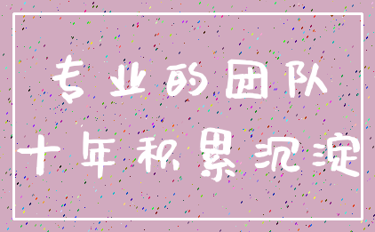 专业的团队_十年积累沉淀