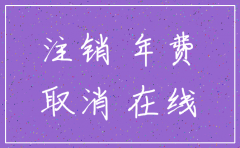公司工商注销需要下载什么软件