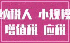 分公司小规模注销流程
