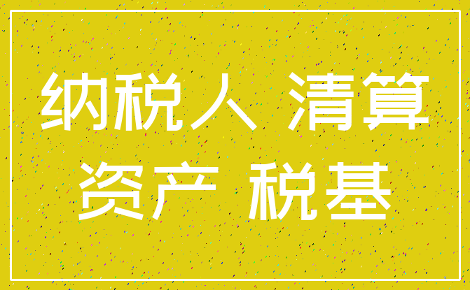 纳税人 清算_资产 税基