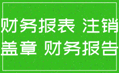 注销公司 财务报表