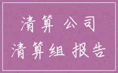 公司注销 清算报告怎么写