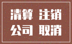 公司 申请 强制注销