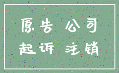诉讼期间原告可以注销公司