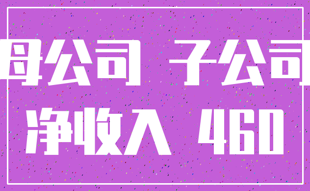 母公司 子公司_净收入 460