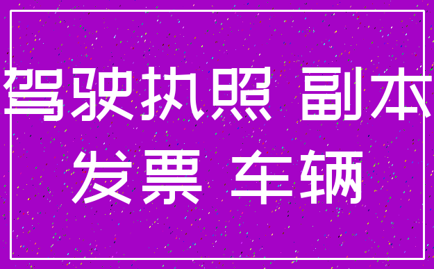 驾驶执照 副本_发票 车辆