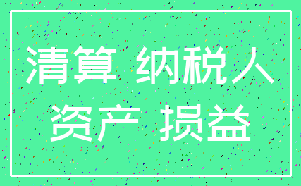 清算 纳税人_资产 损益