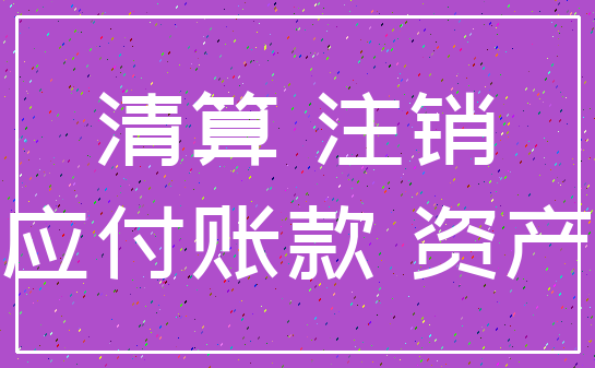 清算 注销_应付账款 资产