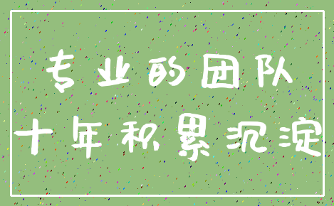 专业的团队_十年积累沉淀