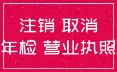 怎么注销公司和费用多少