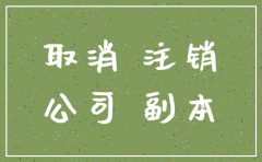 公司停税2年会自动注销吗