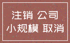 深圳小规模公司简易注销