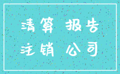 零申报公司注销清算报告范本