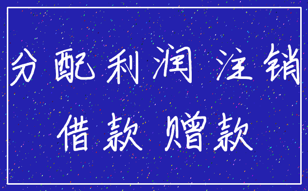 分配利润 注销_借款 赠款