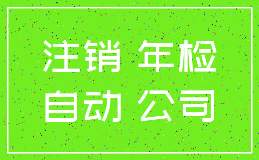 注销 年检_自动 公司