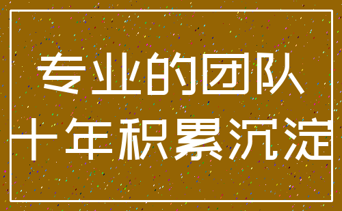 专业的团队_十年积累沉淀