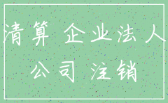 公司注销后的执行的主体