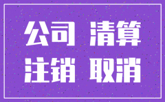 公司注销可在哪些报纸上刊登