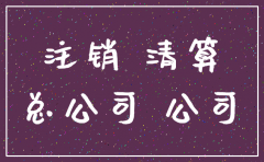 分公司注销后违法处理