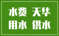 公司注销自来水户