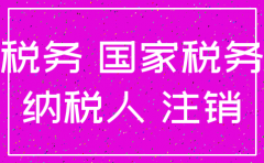 分公司注销清税证明在哪打