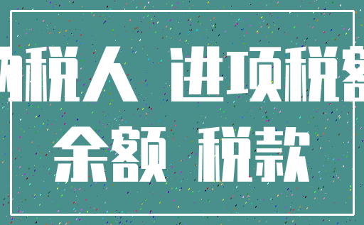 纳税人 进项税额_余额 税款