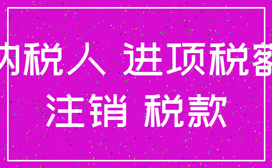 纳税人 进项税额_注销 税款