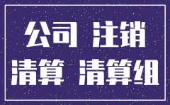 公司注销清算人可以是法人吗