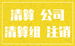 公司注销清算报告要谁来出具