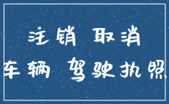 公司注销车牌如何处理