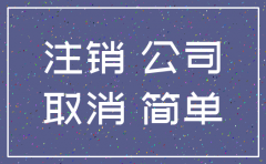 大连有限公司简易注销