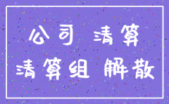 公司注销必须财务负责人到场吗