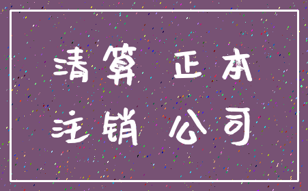 清算 正本_注销 公司