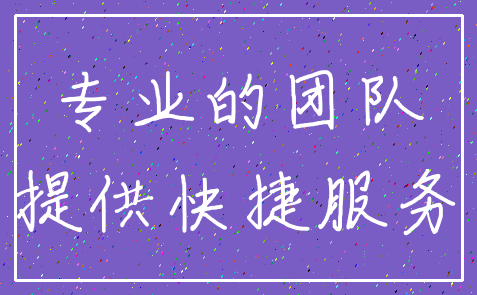 专业的团队_提供快捷服务