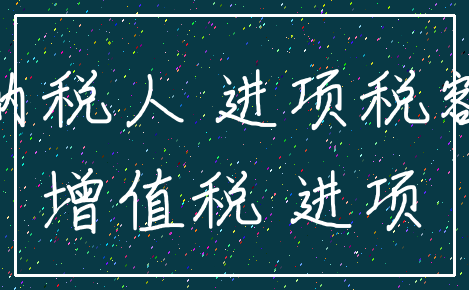 纳税人 进项税额_增值税 进项