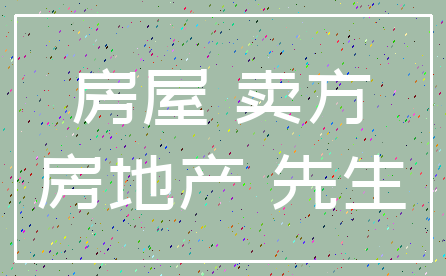 房屋 卖方_房地产 先生