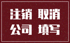 深圳市公司简易注销程序