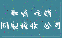 深圳市的公司简易注销去哪里